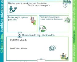 rese2-min